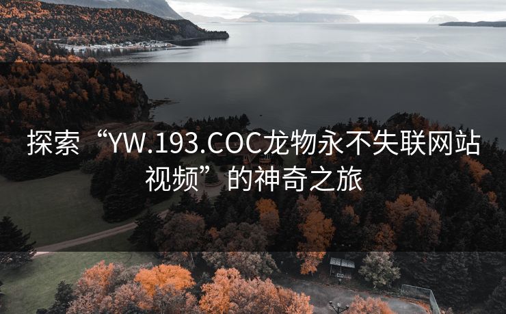 探索“YW.193.COC龙物永不失联网站视频”的神奇之旅