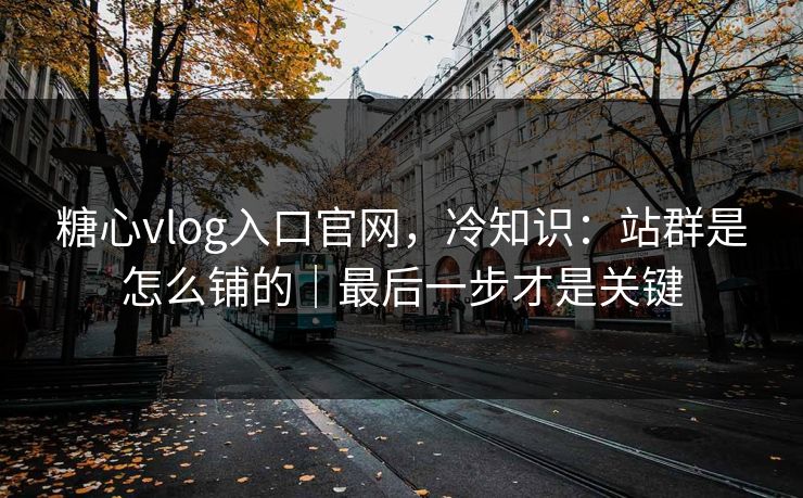 糖心vlog入口官网，冷知识：站群是怎么铺的｜最后一步才是关键