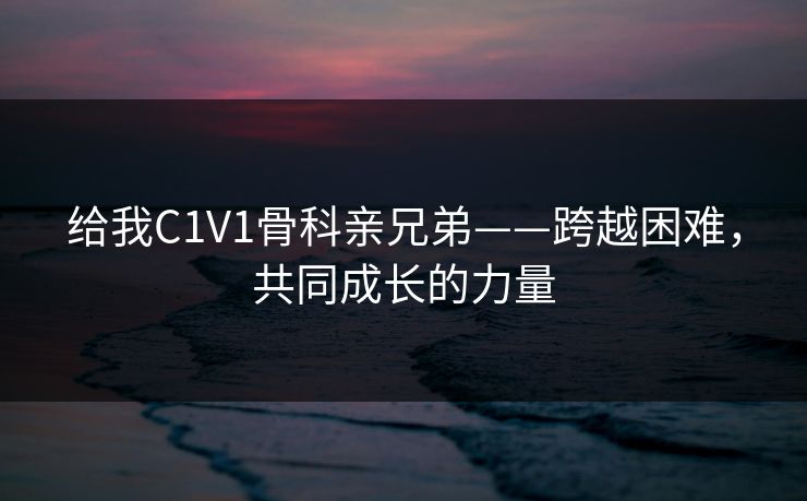 给我C1V1骨科亲兄弟——跨越困难，共同成长的力量