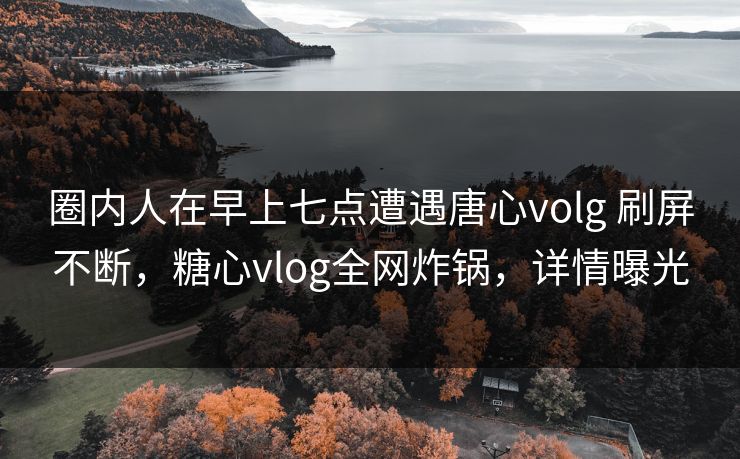 圈内人在早上七点遭遇唐心volg 刷屏不断，糖心vlog全网炸锅，详情曝光